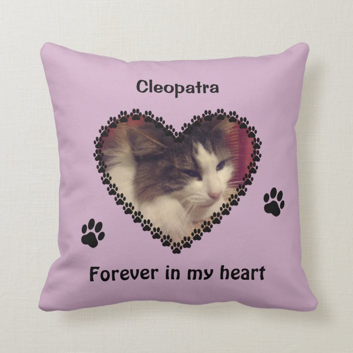 cat paw pillow