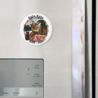 Cat Paw Prints Photo Magnet