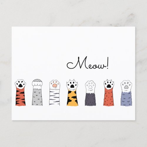 Cat Paws Black White Brown Grey Personalized Meow Postcard