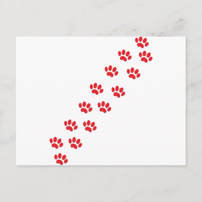 Cat Paws Postcard (Front)