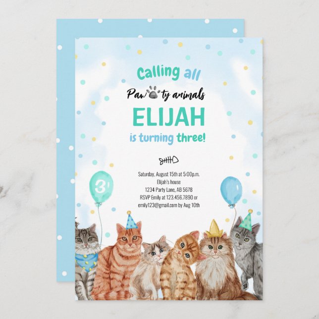Cat Pawty Animals Boy Birthday Invitation (Front/Back)