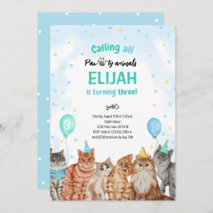 Cat Pawty Animals Boy Birthday Invitation