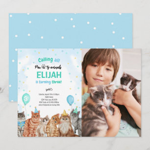Cat Pawty Animals Boy Birthday Photo Invitation
