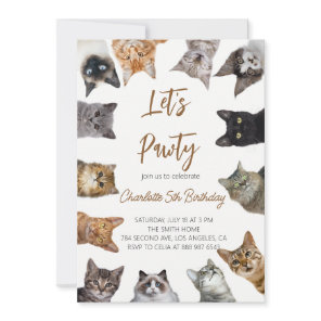 Cat Pawty birthday invitation