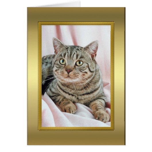 Cat Pedigree Card (Front)