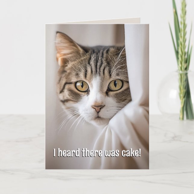 Cat Peeking Around Curtain Birthday Humor Card (Front)