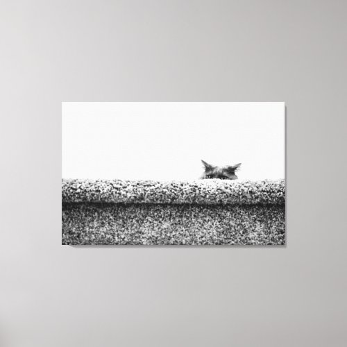 Cat Peeking Over Stairs Stretched Canvas Print