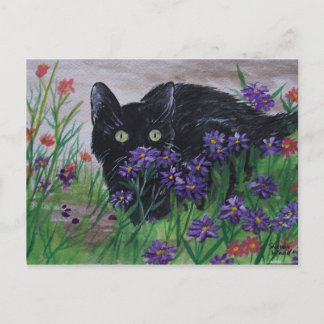 Cat Peeking Postcard