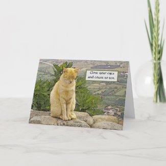 CAT PERCHED ON ROCK,  EYES CLOSED, HUMOR, FRIENDSH CARD
