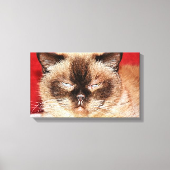 CAT PERSIAN SLEEEPY STRETCHED CANVAS PRINT (Front)