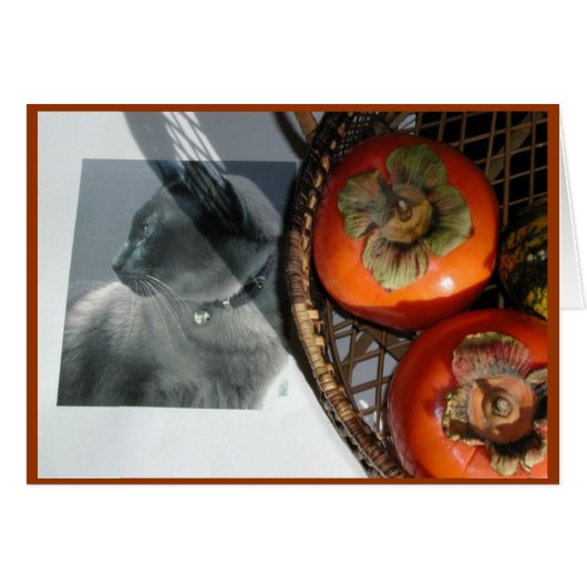 Cat & Persimmons Cards (Front Horizontal)