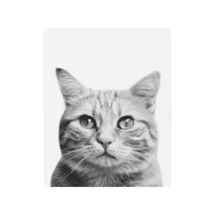 Cat pet animal photography black and white metal print