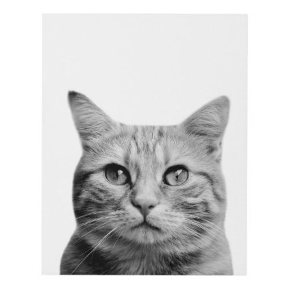 Cat pet animal photography black and white panel wall art