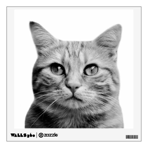 Cat pet animal photography black and white wall decal