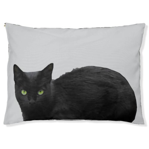 Cat Pet Bed