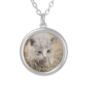 Cat, Pet, Cute Silver Plated Necklace