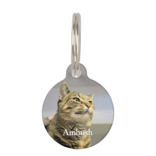 Cat Pet ID Tag