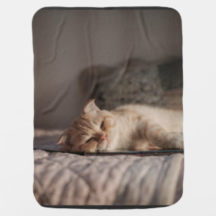 Cat, Pet, Kitten Baby Blanket