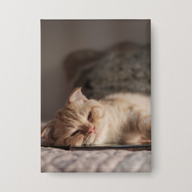Cat, Pet, Kitten Button (Front)
