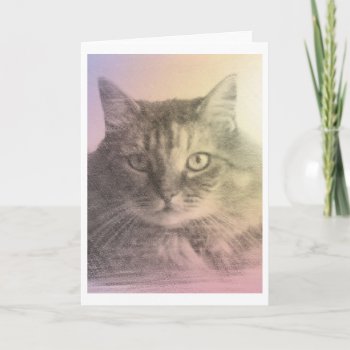 Cat Pet Loss Card by RenderlyYours at Zazzle