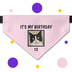Cat Pet Photo and Age Birthday Pink Pet Bandana Collar