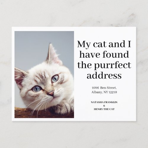 Cat Pet Photo New Address Ive Moved Modern Announcement Postcard