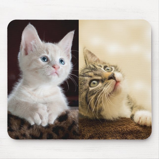 Cat Pet Photo Personalized Mouse Pad (Front)