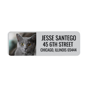CAT PET PHOTO RETURN ADDRESS CUSTOM LABELS