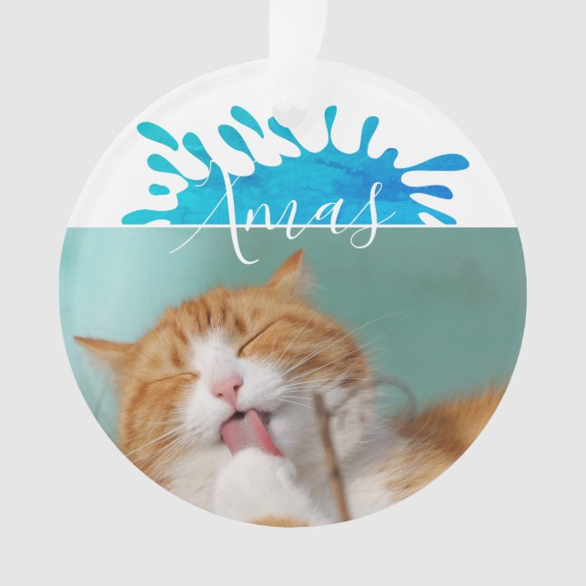 Cat Pet Photo Xmas Script Christmas  Ornament (Front)