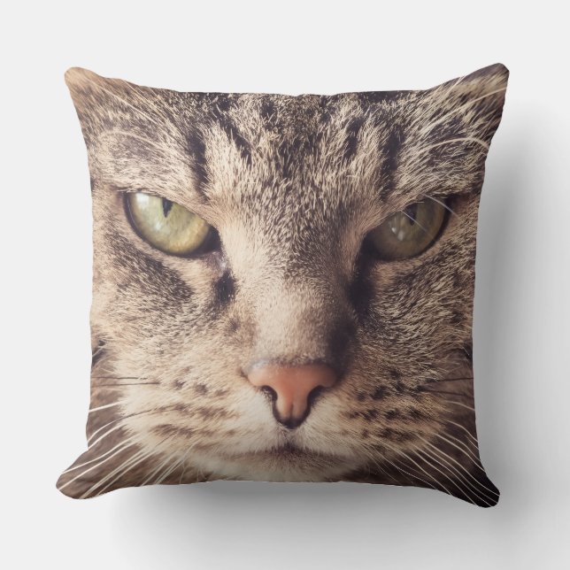 cat pet pillow custom (Front)