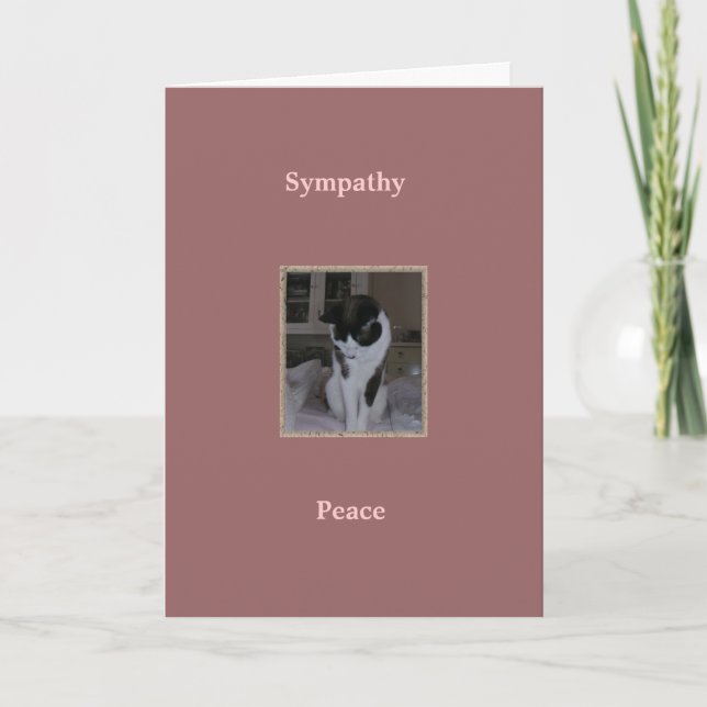 Cat, Pet Sympathy, Peace Card (Front)