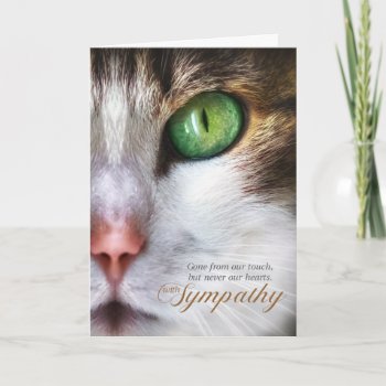 Cat Pet Sympathy Tabby Face Tender Message Card by PAWSitivelyPETs at Zazzle
