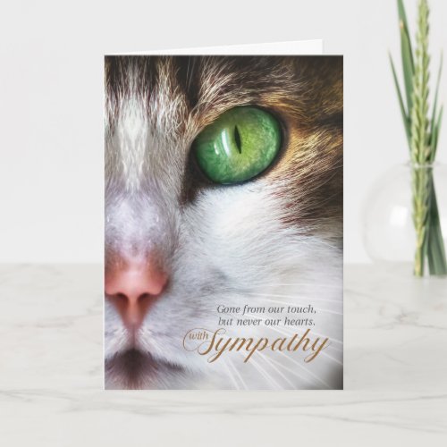 Cat Pet Sympathy Tabby Face Tender Message Card
