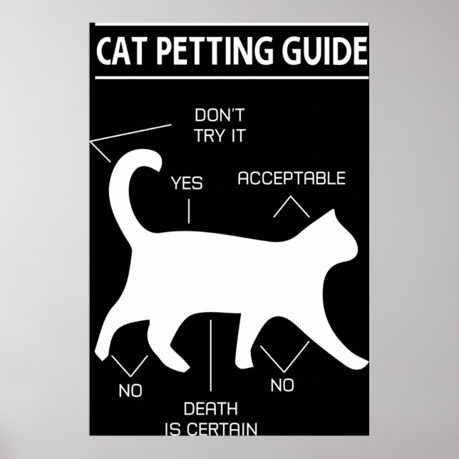 Cat Petting Guide Poster (Front)