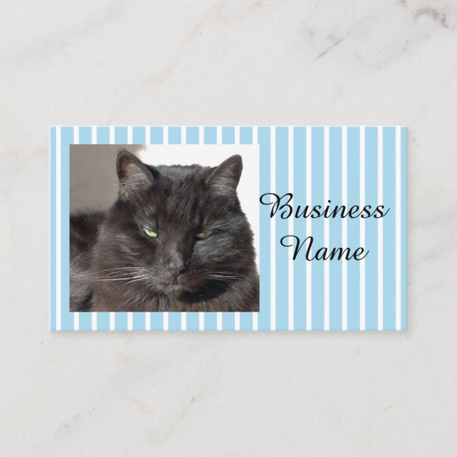 Cat Photo  Business Card (Front)