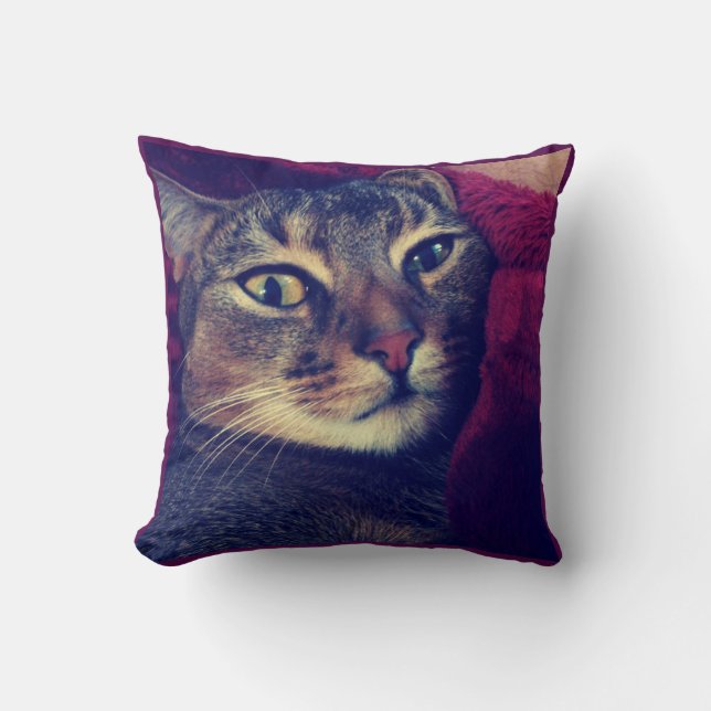 Cat photo, cat, Pets, funny cat, Throw Pillow (Front)