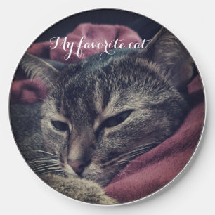Cat photo, cat, Pets, funny cat  Wireless Charger