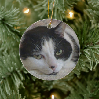 Cat Photo Christmas Ceramic Ornament