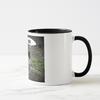 Cat Photo Custom Text  Combo Mug