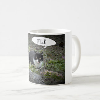 Cat photo Custom Text  Mug