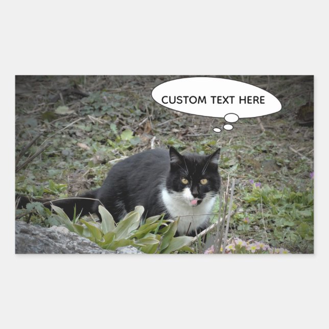 Cat Photo Custom Text Sticker (Front)