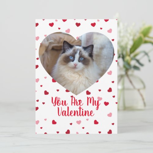 Cat Photo Custom Valentines Day Card