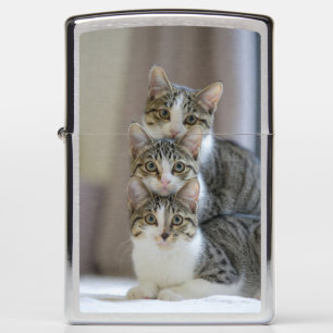 Cat Photo generated content, a funny Zippo Lighter