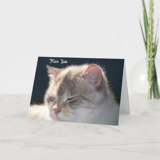 Cat Photo greeting Card