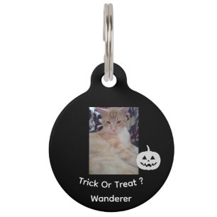 Cat Photo, Halloween Text, Name , Customize, Pet ID Tag