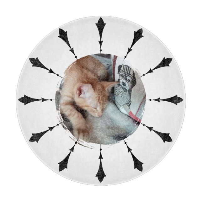Cat Photo , Humor , replaceable, Funny  Cutting Board (Front)