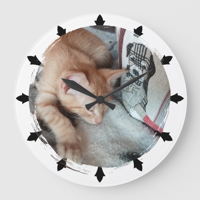 Cat Photo , Humor , replaceable, Round  Large Clock (Front)
