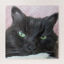 Cat Photo Jigsaw Puzzle