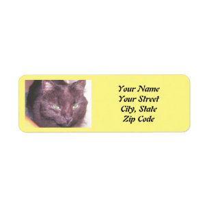 Cat photo label