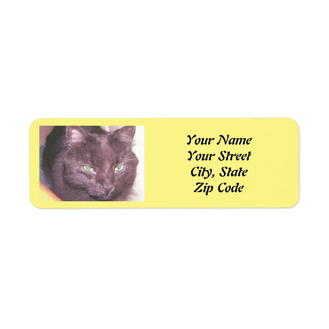 Cat photo  label (Front)